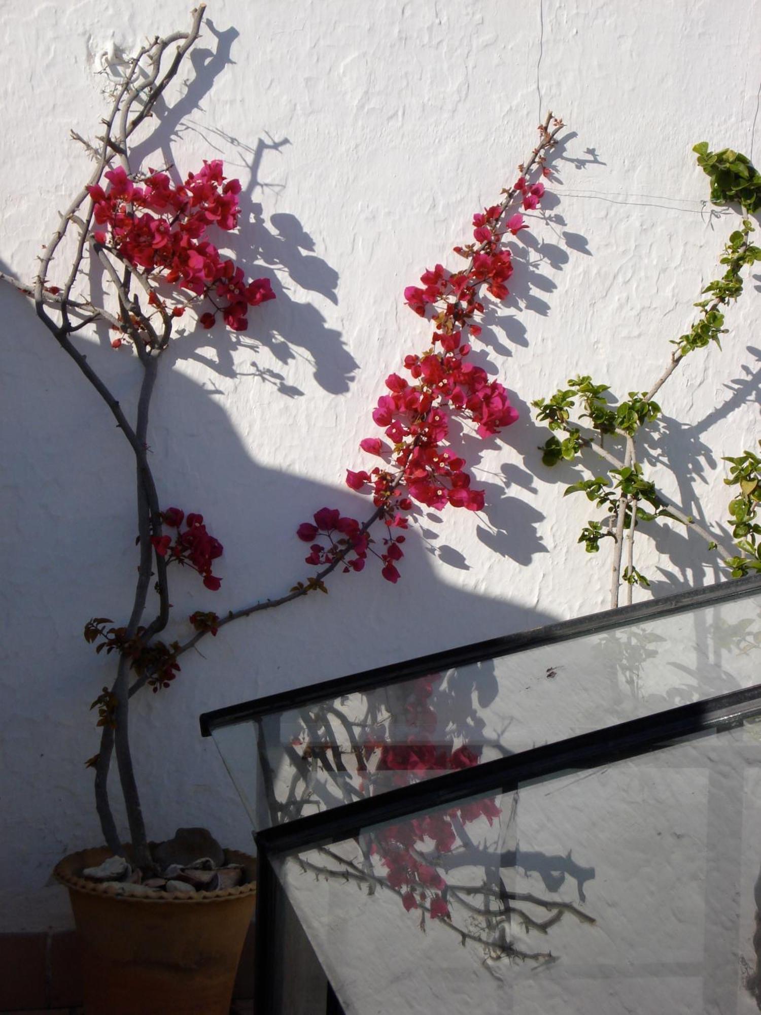 La Casa Grande Arcos de la Frontera Exterior foto
